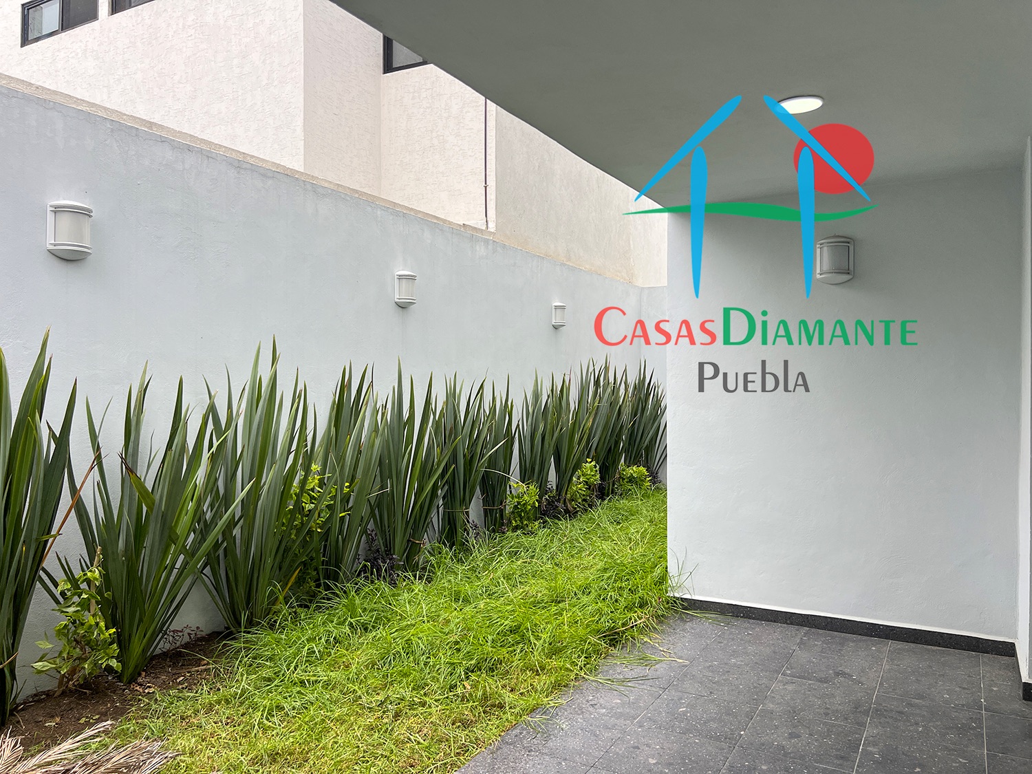 Parque Zacatecas Casa Cuarzo - Terraza y jardín 2